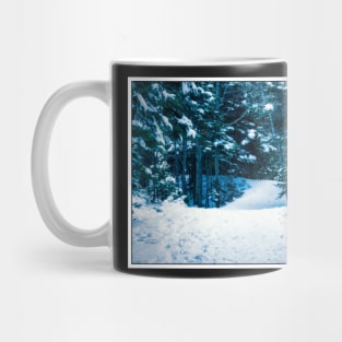 Hemlock Ravine Park 12 Mug